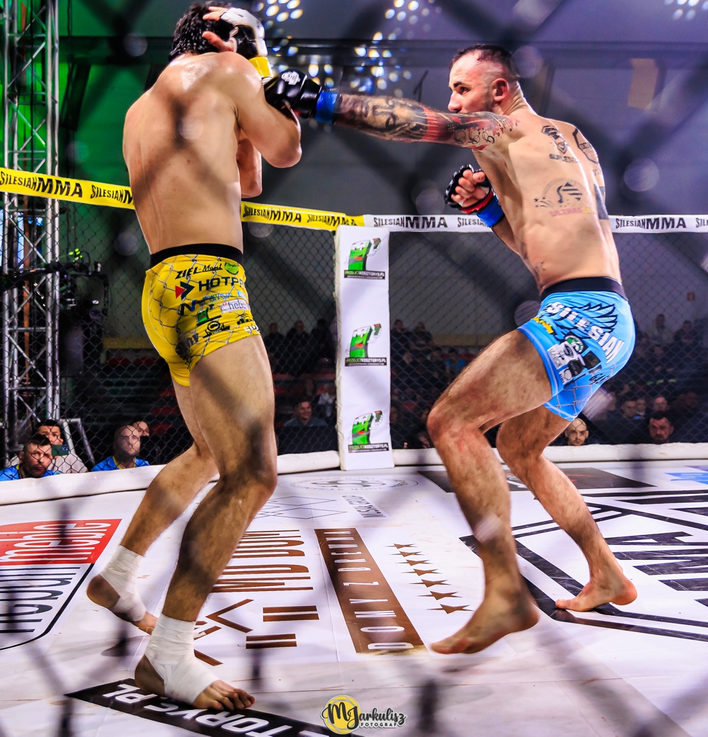 gala-mma2